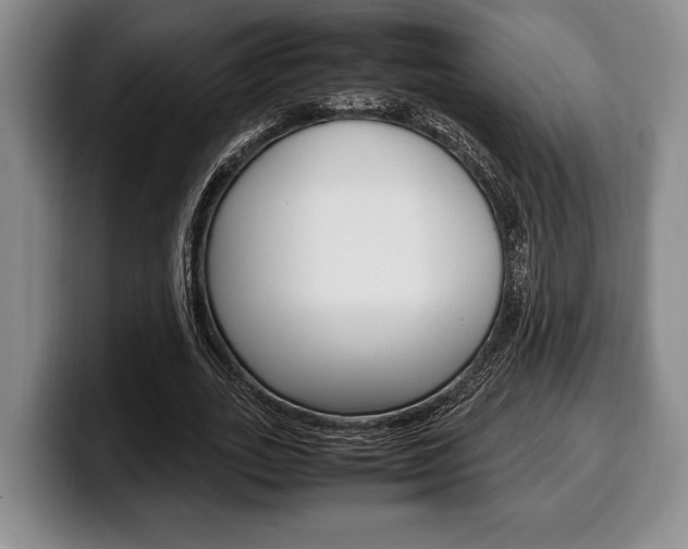 X0000100340727200806051224