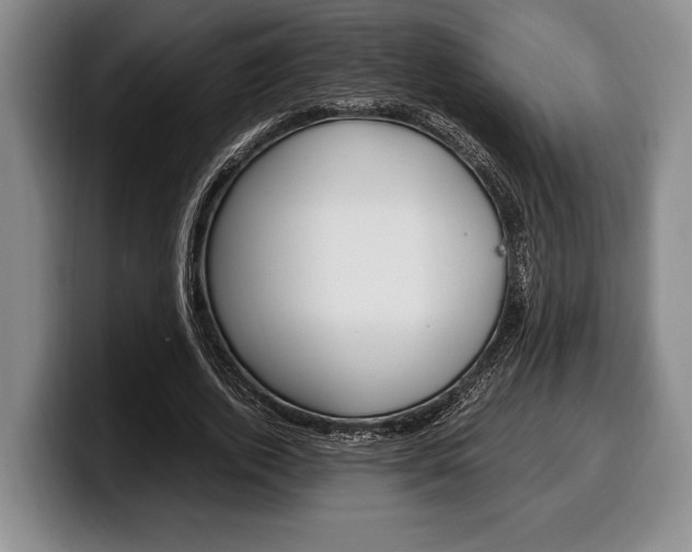 X0000100340728200806051224