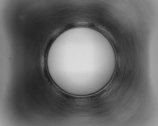 X0000100340729200806051224