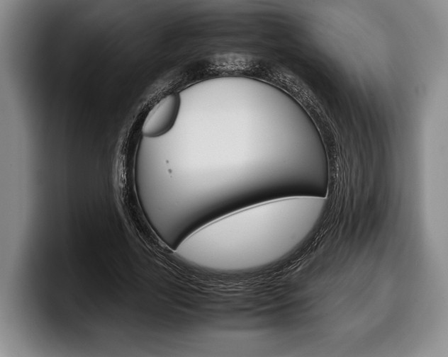 X0000100340731200806051224