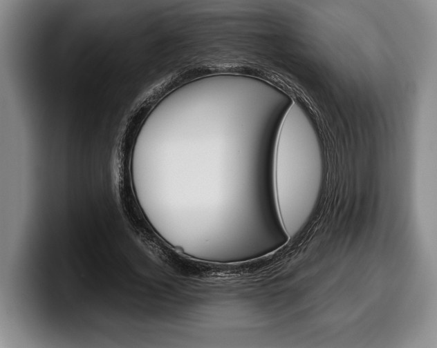 X0000100340732200806051224