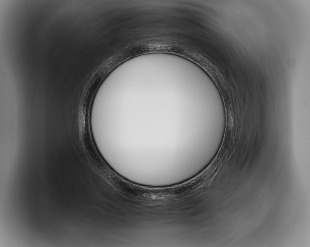 X0000100340733200806051224