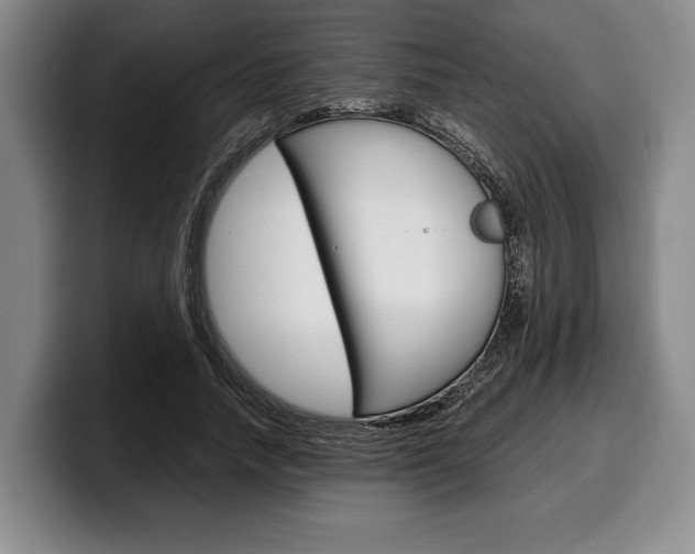 X0000100340738200806051224