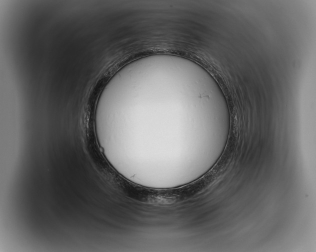 X0000100340739200806051224