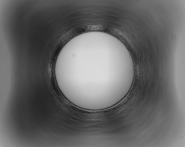 X0000100340741200806051224