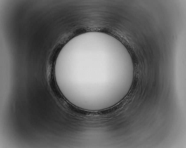 X0000100340742200806051224