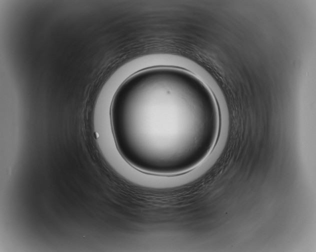 X0000100340743200806051224