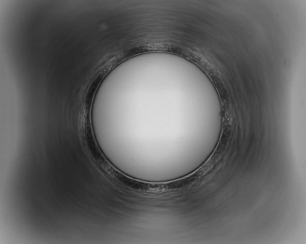 X0000100340744200806051224
