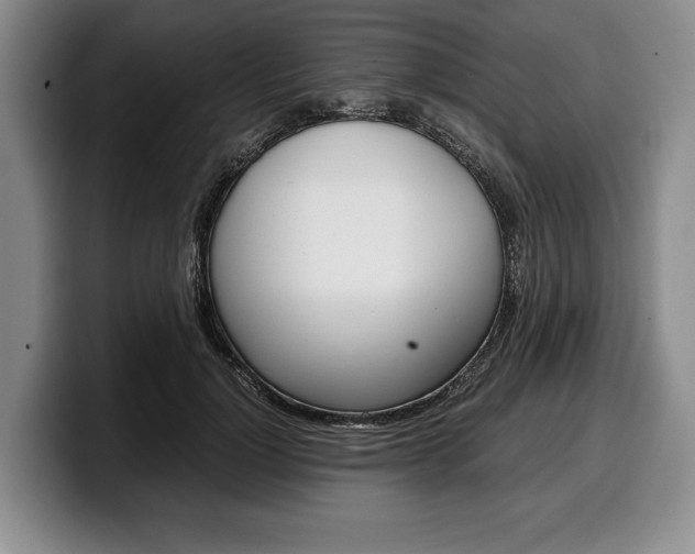 X0000100340748200806051224