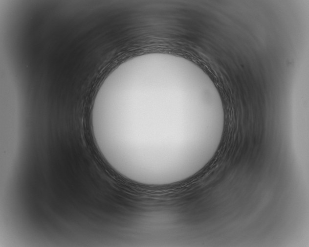 X0000100340750200806051224