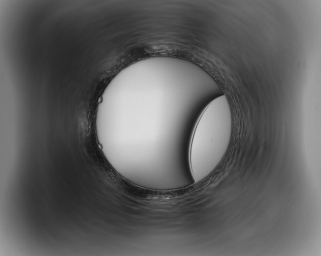 X0000100340751200806051224