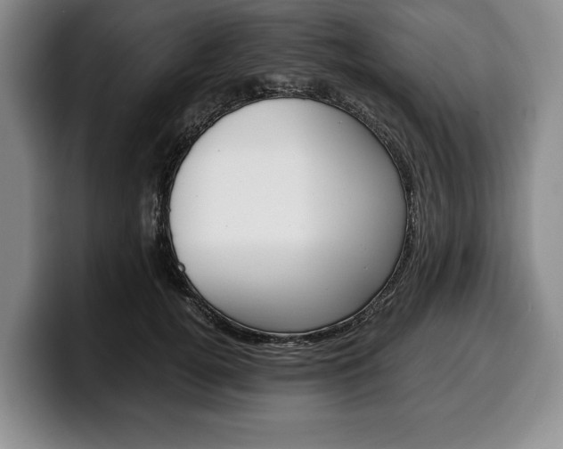 X0000100340752200806051224