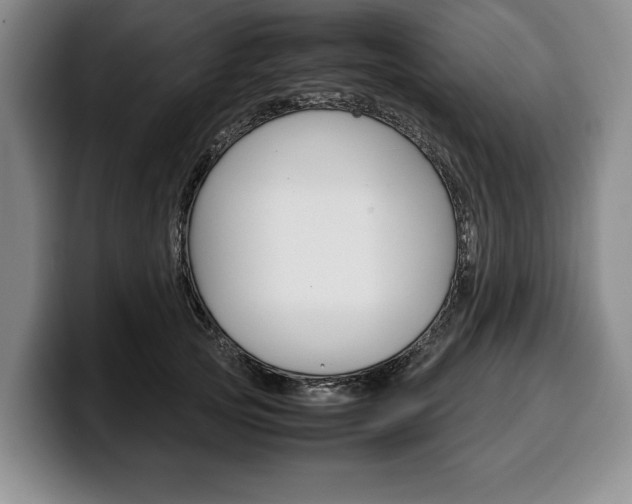 X0000100340753200806051224