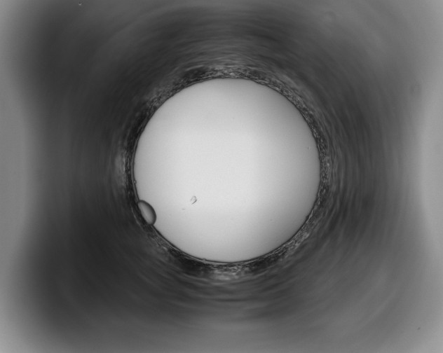 X0000100340757200806051224