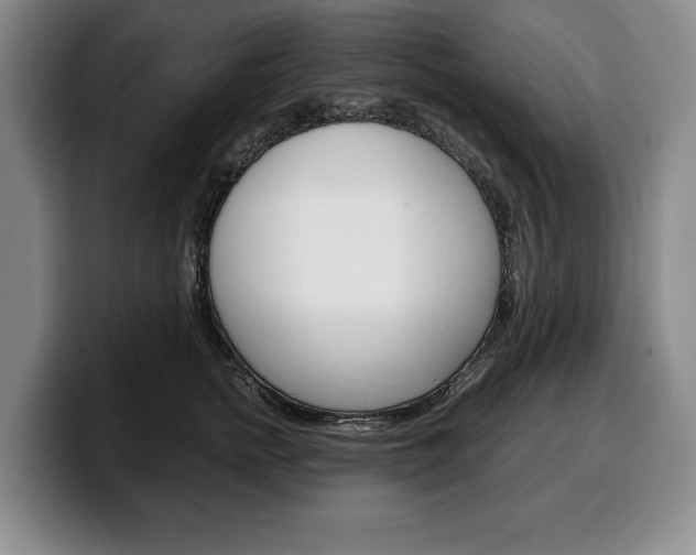 X0000100340758200806051224