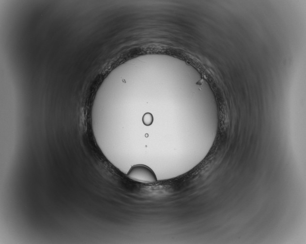X0000100340759200806051224