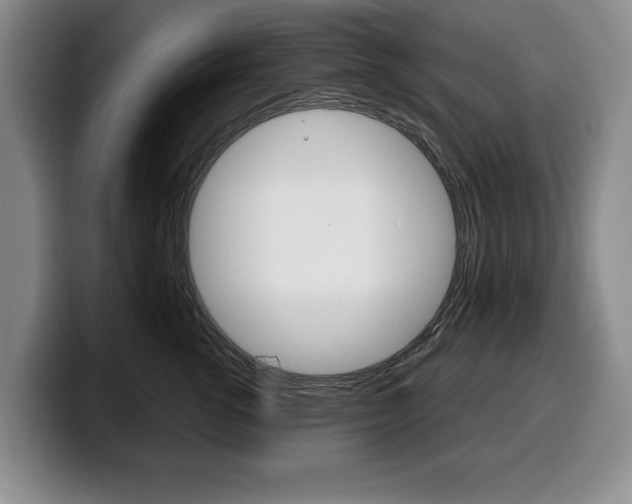X0000100340762200806051225