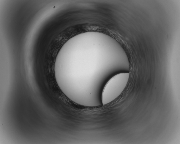 X0000100340763200806051225