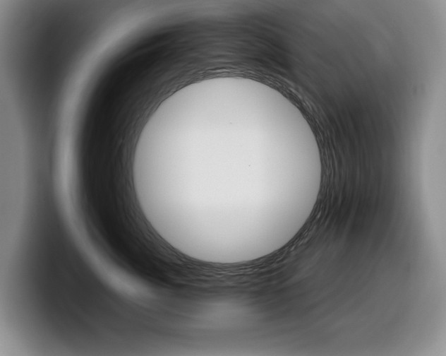 X0000100340764200806051225