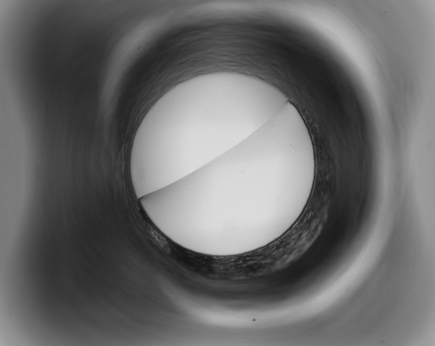 X0000100340766200806051225