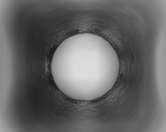 X0000100340770200806051224