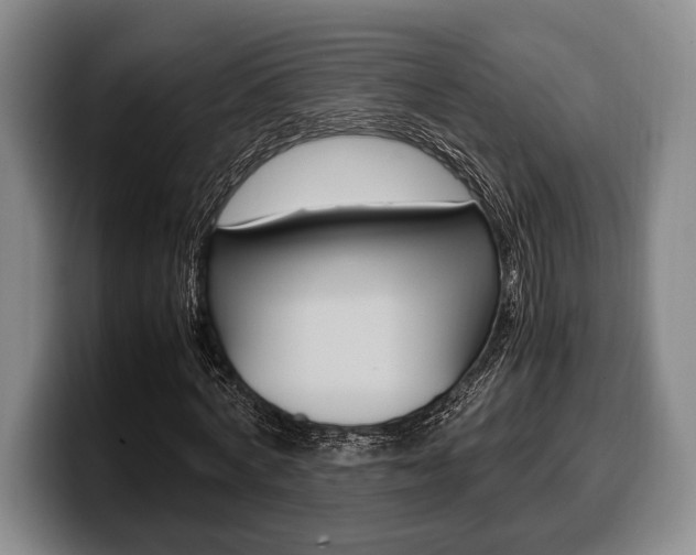 X0000100340772200806051224