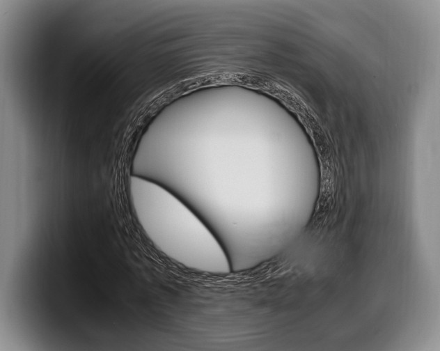 X0000100340773200806051224