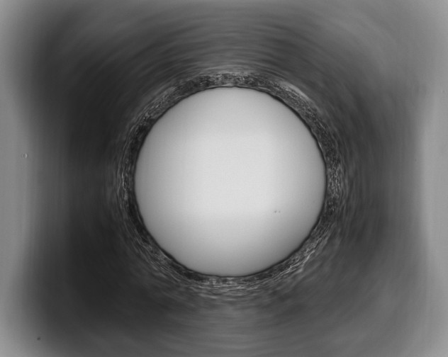 X0000100340774200806051224