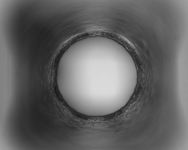 X0000100340775200806051224