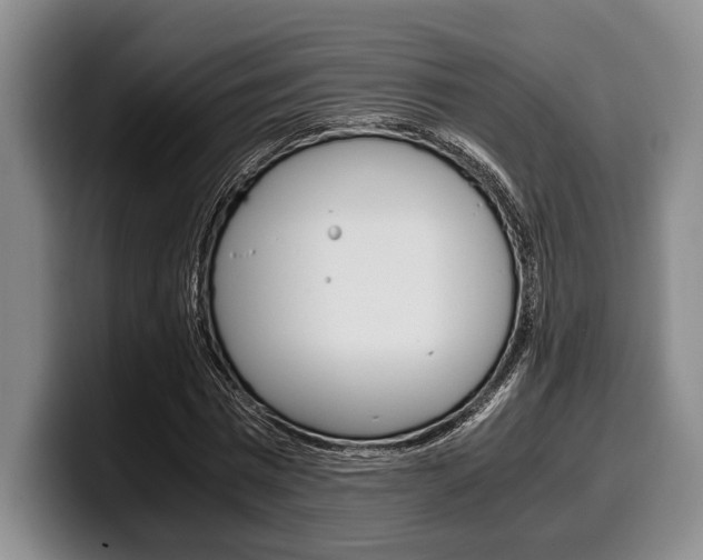 X0000100340777200806051224