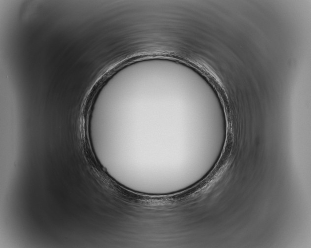 X0000100340781200806051224