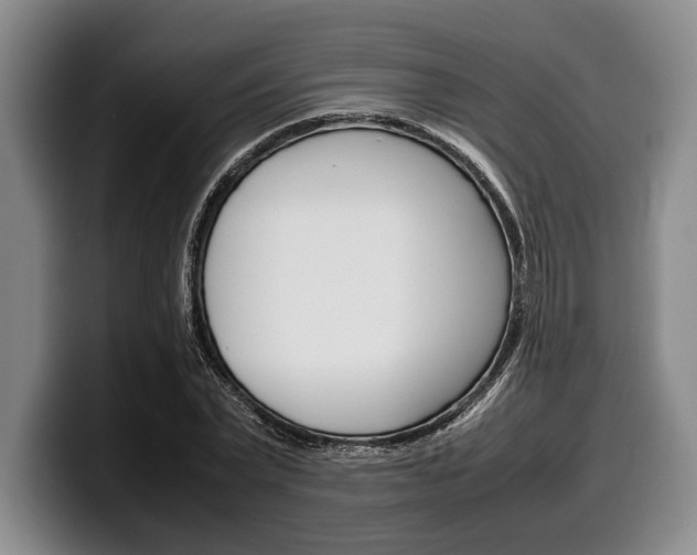 X0000100340783200806051224