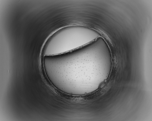 X0000100340784200806051224