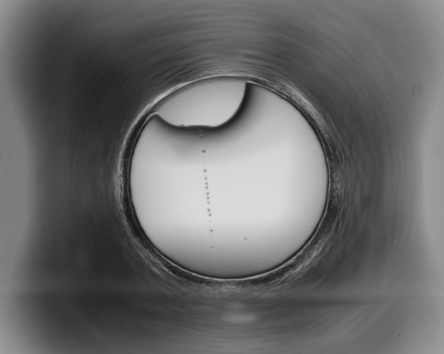 X0000100340787200806051224