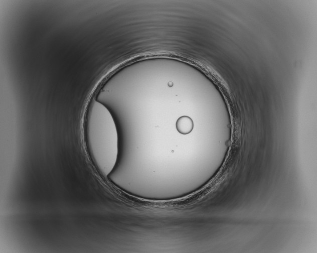 X0000100340789200806051224