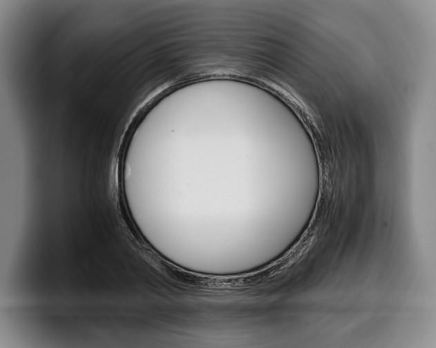 X0000100340790200806051224
