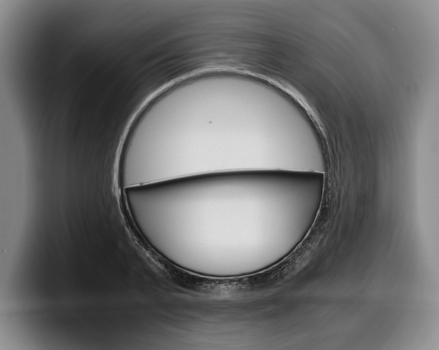 X0000100340791200806051224