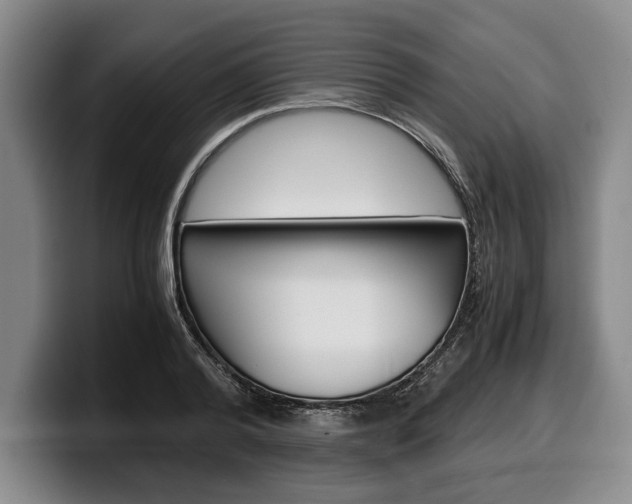 X0000100340792200806051224