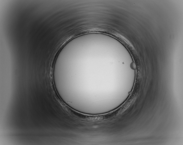 X0000100340793200806051224
