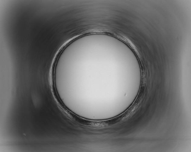 X0000100340795200806051224