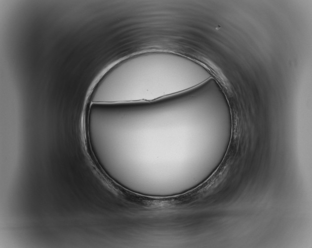 X0000100340796200806051224