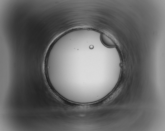 X0000100340797200806051224