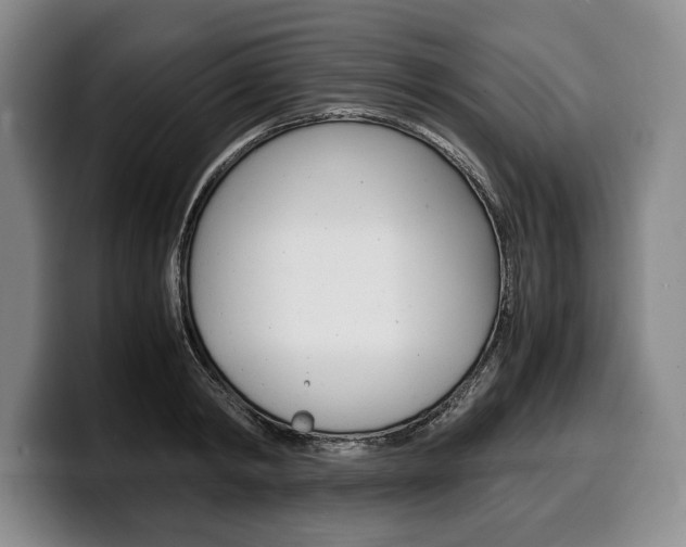 X0000100340798200806051224