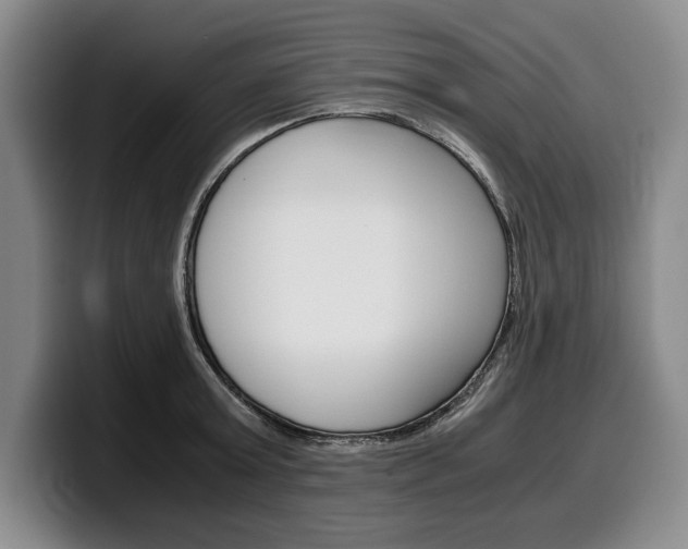 X0000100340803200806051223
