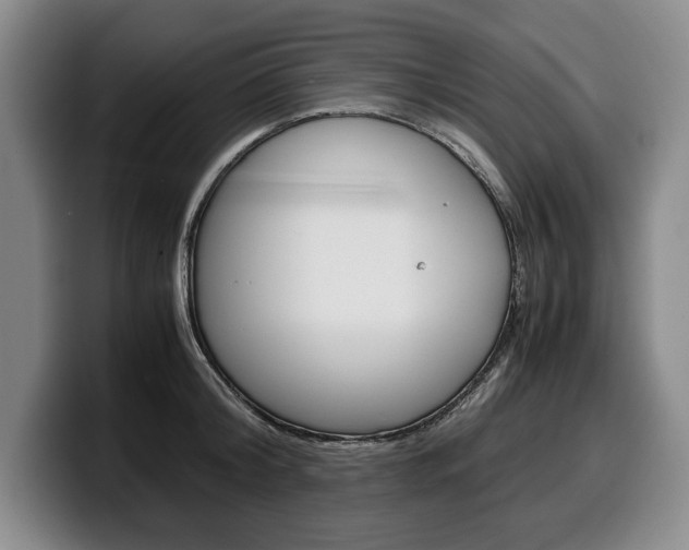 X0000100340804200806051223
