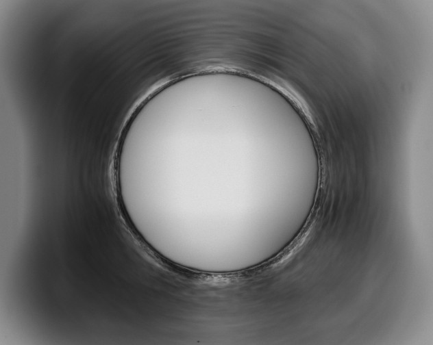 X0000100340806200806051223
