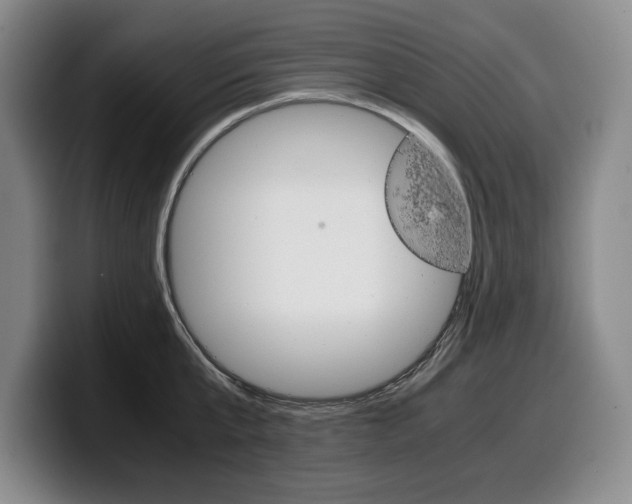 X0000100340807200806051223
