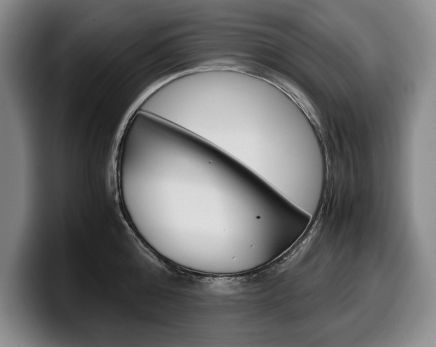 X0000100340808200806051223
