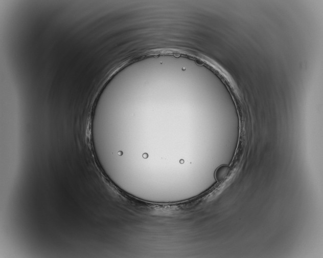 X0000100340809200806051223