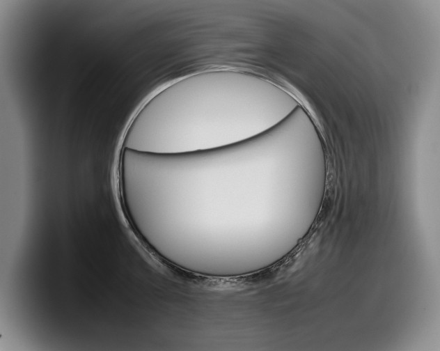 X0000100340811200806051223
